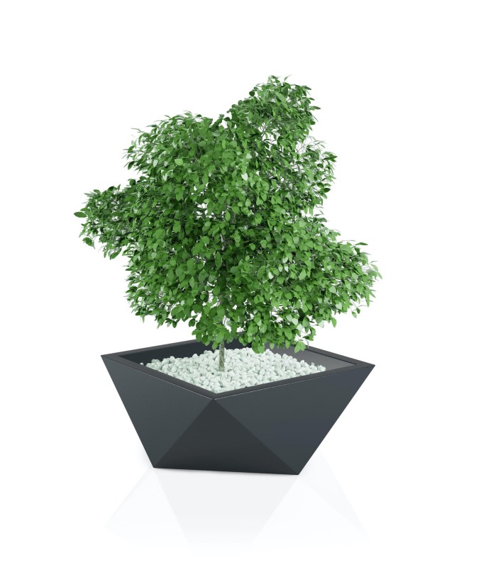 Donica Vendetta antracyt + roślina.jpg