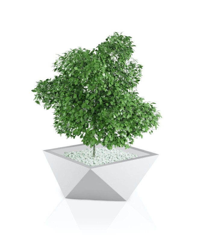 Donica Vendetta biała + roślina.jpg