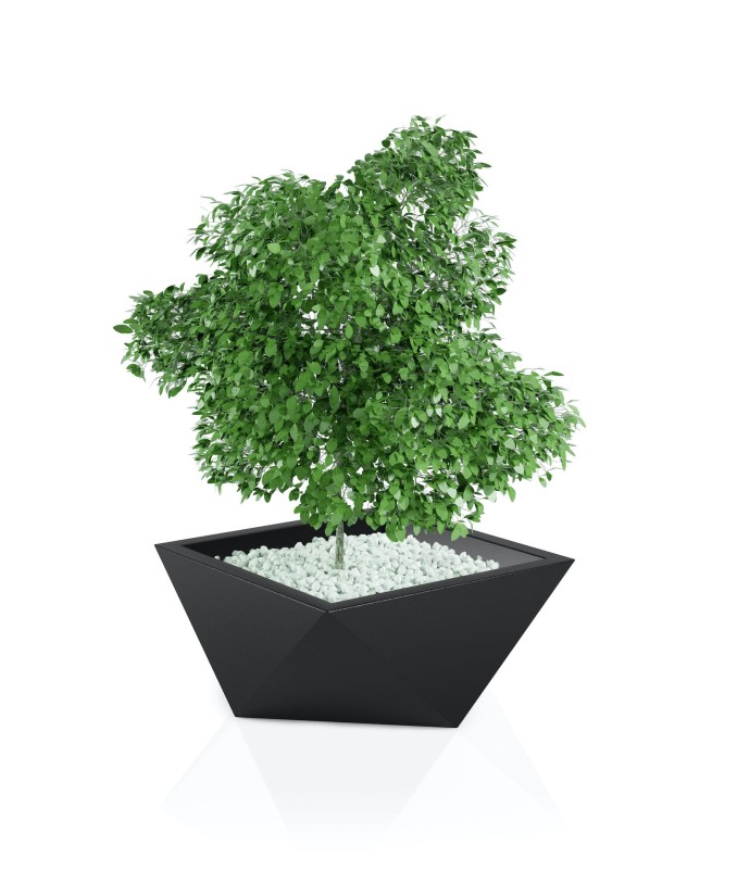 Donica Vendetta czarna + roślina.jpg