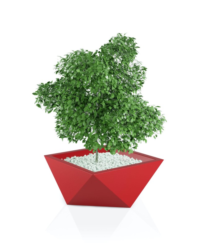 Donica Vendetta czerwona + roślina.jpg