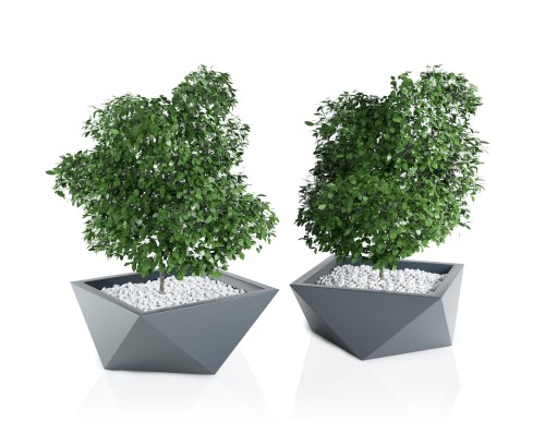 Donica misa Vandetta