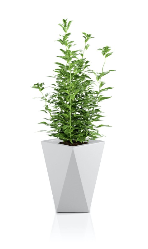 Donica Vaso biała + roślina.jpg