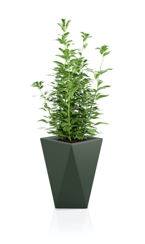 Donica Vaso butelkowa zieleń + roślna.jpg