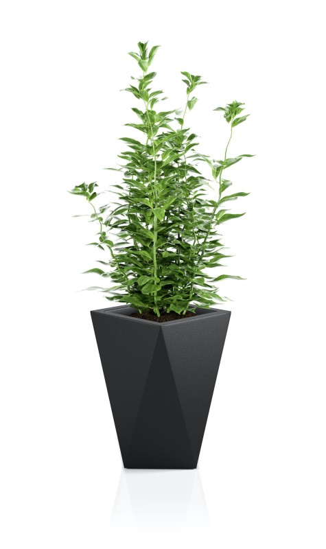 Donica Vaso czarna + roślina.jpg