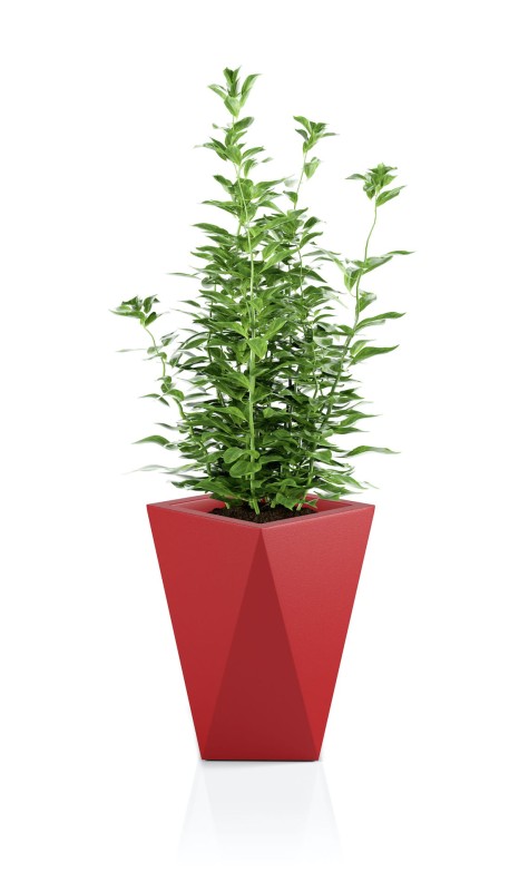 Donica Vaso czerwona + roślina.jpg