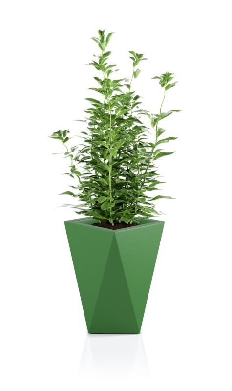 Donica Vaso limonka + roślina.jpg