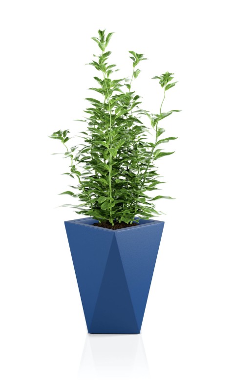 Donica Vaso niebieska + roślina.jpg