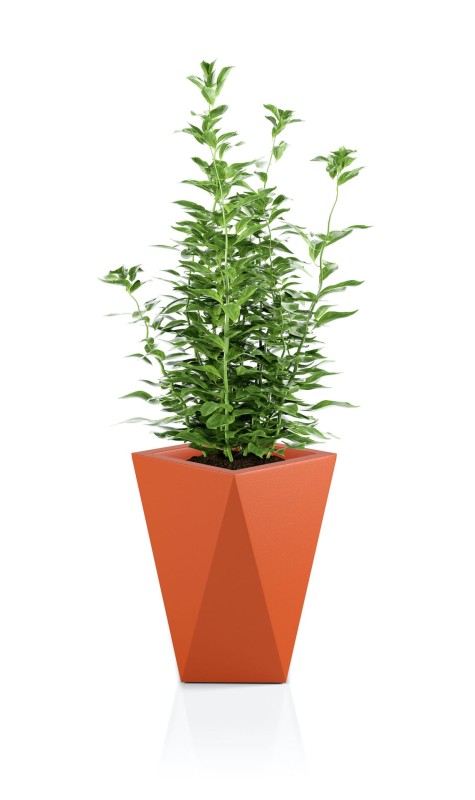 Donica Vaso pomarańczowa + roślina.jpg