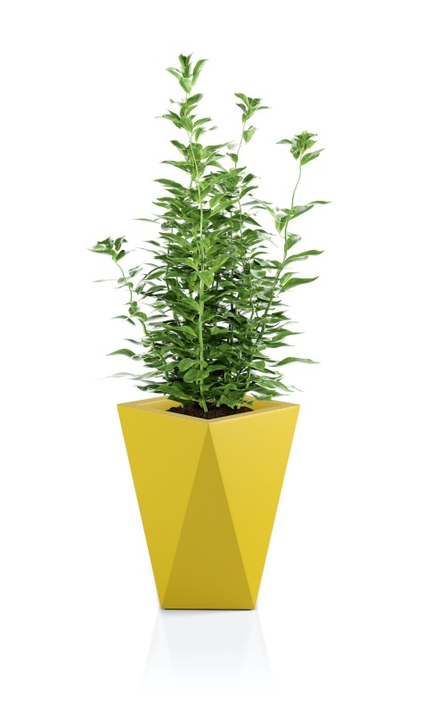 Donica Vaso żółta + roślina.jpg