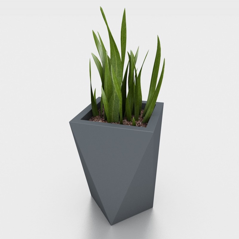 donica_Vaso antracytowa_roślina2.jpg