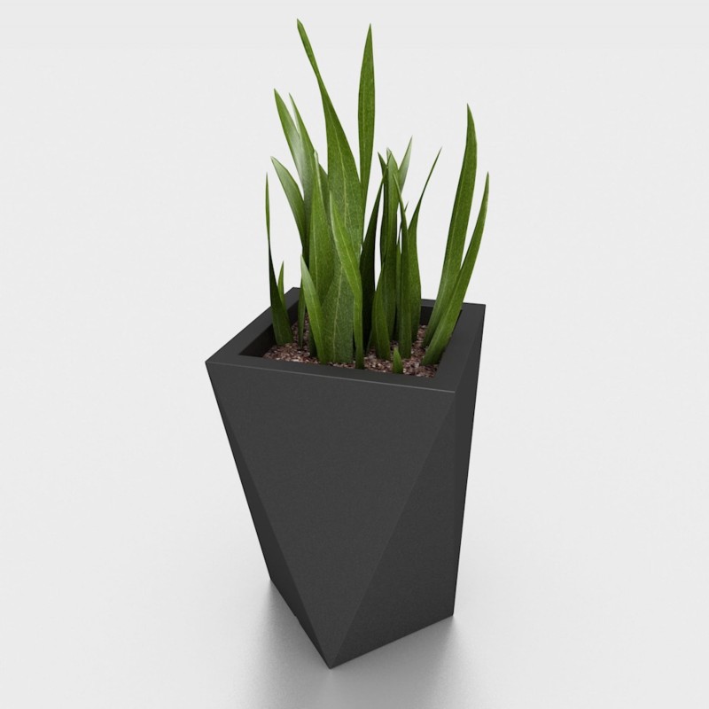 donica_Vaso czarna_roślina2.jpg