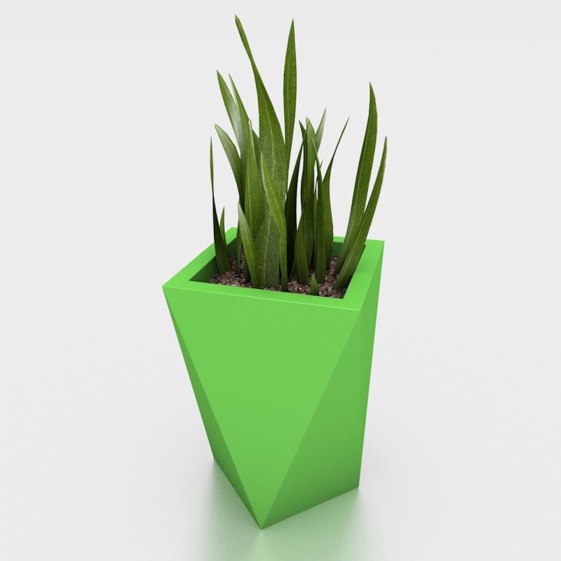 donica_Vaso limonkowa_roślina2.jpg