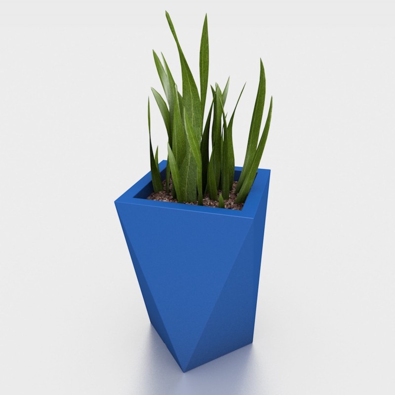 donica_Vaso niebieska_roslina2.jpg