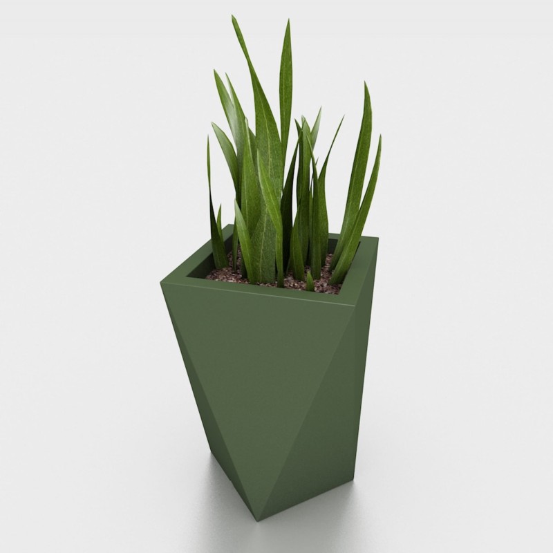 Vaso zielona_roślina2.jpg