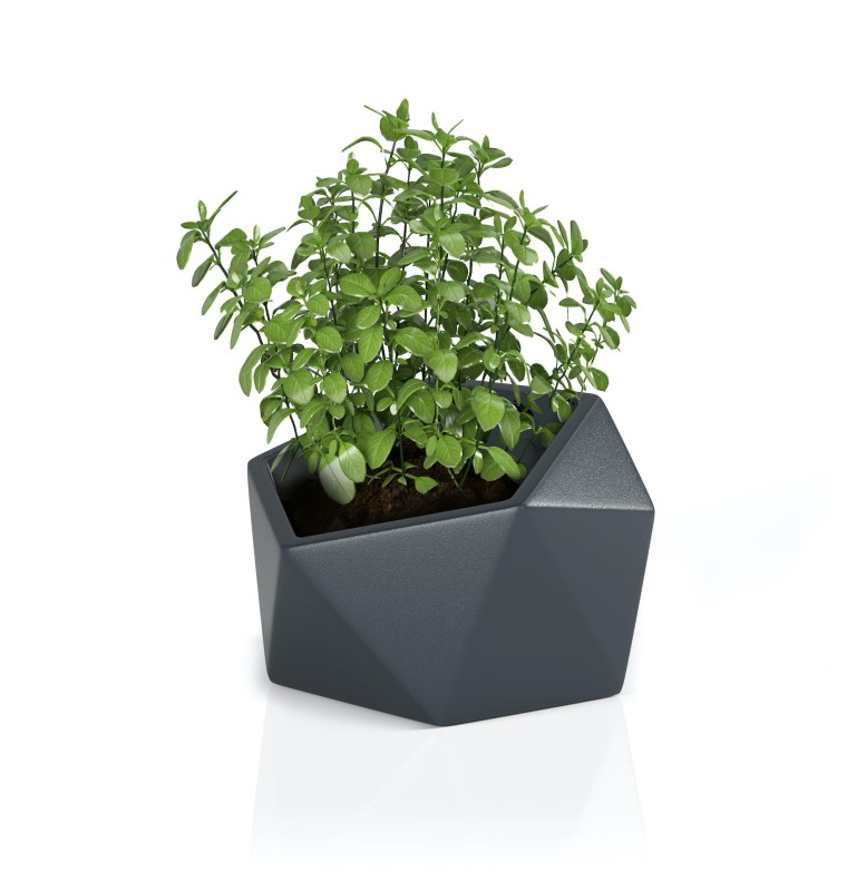 Donica Vesari antracyt + roślina.jpg