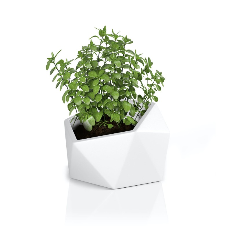 Donica Vesari biała + roślina.jpg