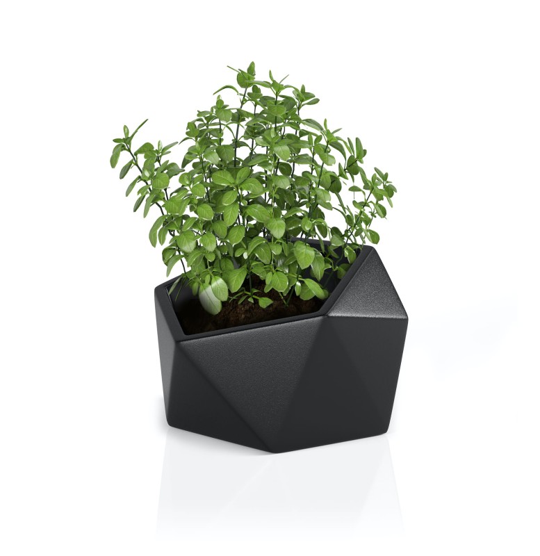Donica Vesari czarna + roślina.jpg