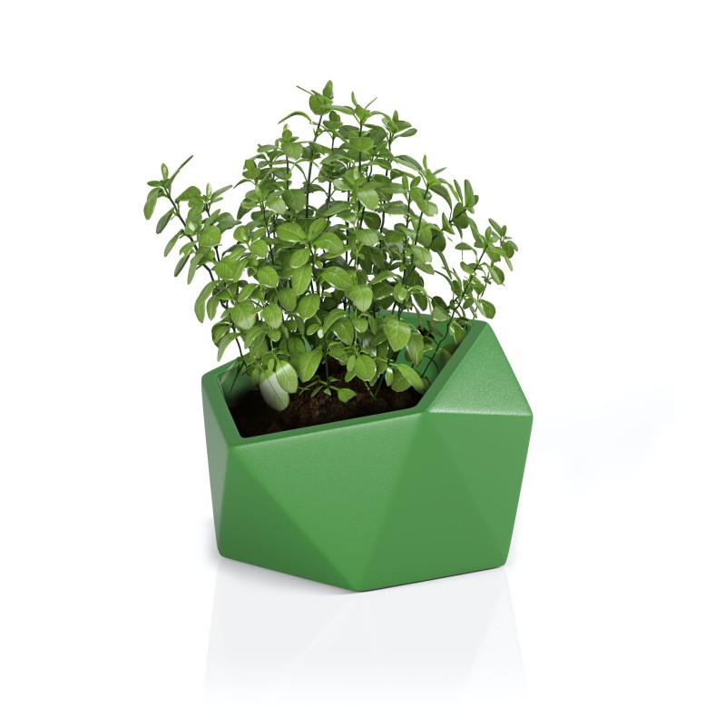 Donica Vesari limonka + roślina.jpg