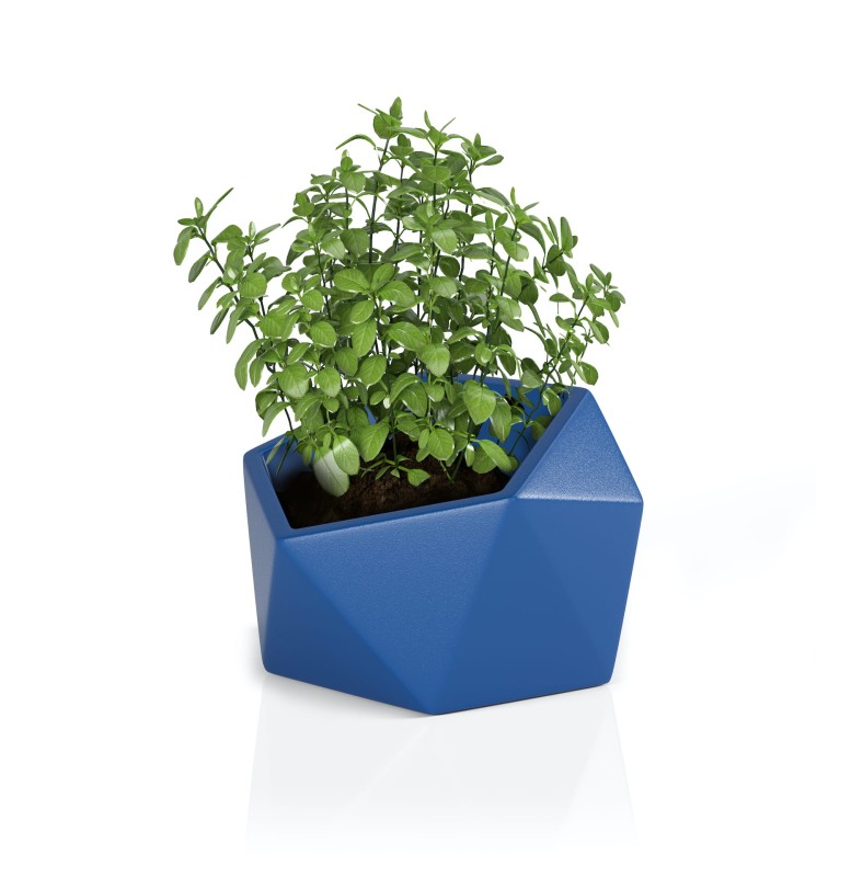 Donica Vesari niebieska + roślina.jpg