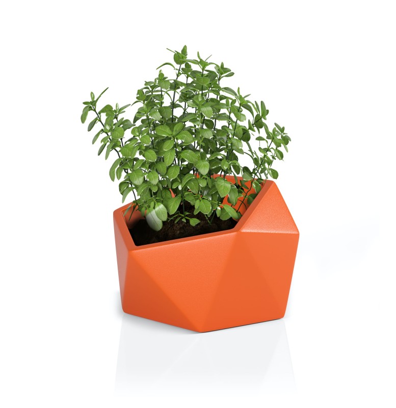 Donica Vesari pomarańczowa + roślina.jpg