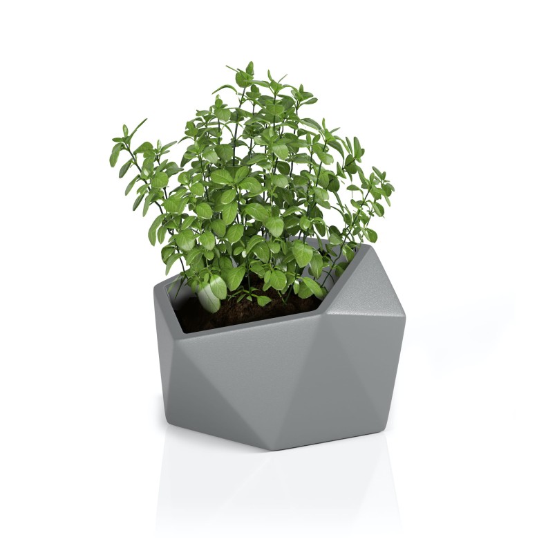 Donica Vesari szara + roślina.jpg