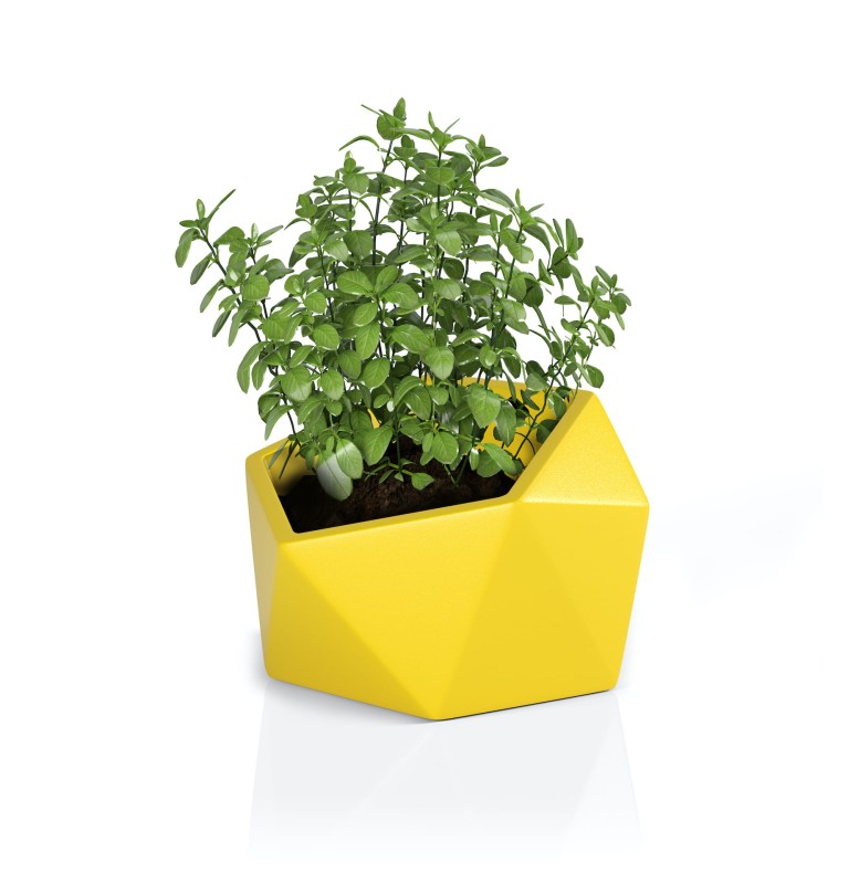 Donica Vesari żółta + roślina.jpg