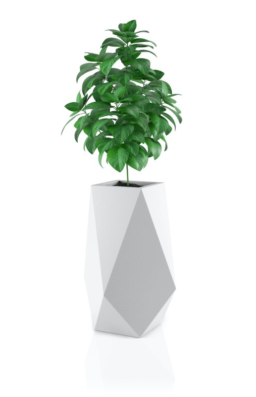 Donica Volcano biała + roślina.jpg