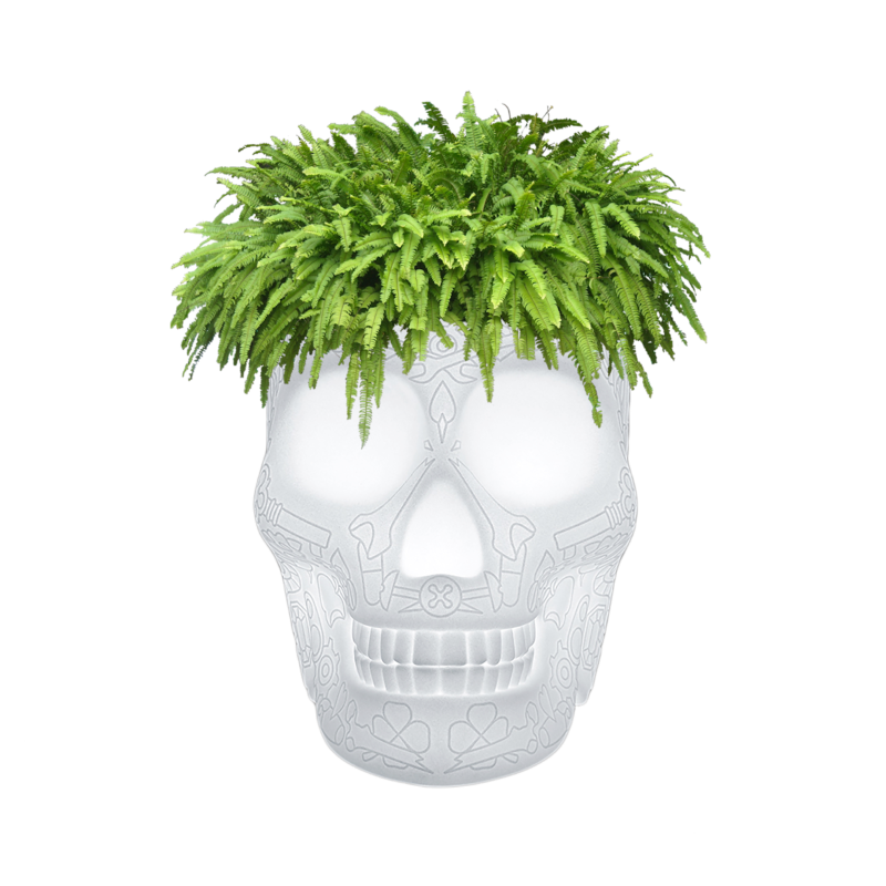 donica-cooler-qeeboo-mexico-planter-champagne-cooler--lamp-by-studio-job-16 kolorów-LED RGB