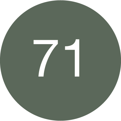 kolor_OLIVE-GREEN-71