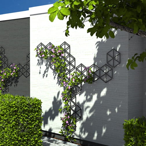 trejaż_metalowa_kratka_na_pnącza_Egypt