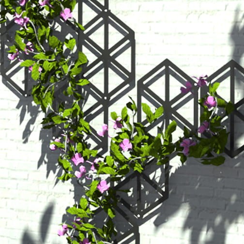 trejaż_metalowa_kratka_na_pnącza_Egypt