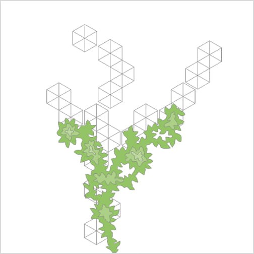 trejaż_metalowa_kratka_na_pnącza_Egypt