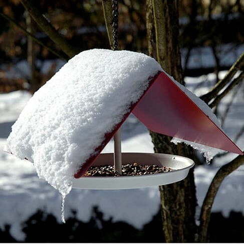 metalowy_karmnik_BIRDY