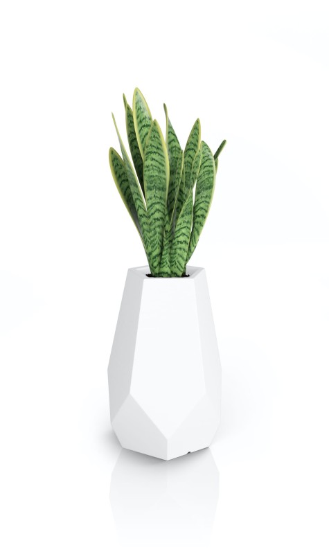 Donica Bari biała + roślina.jpg