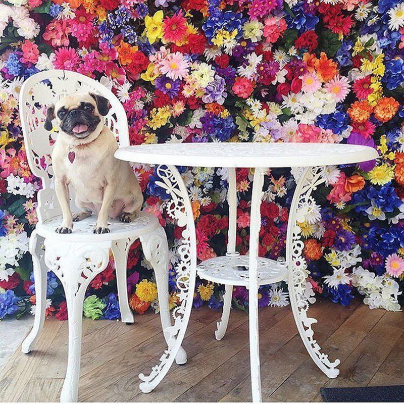 aranżacje_pop_INDUSTRY_seletti