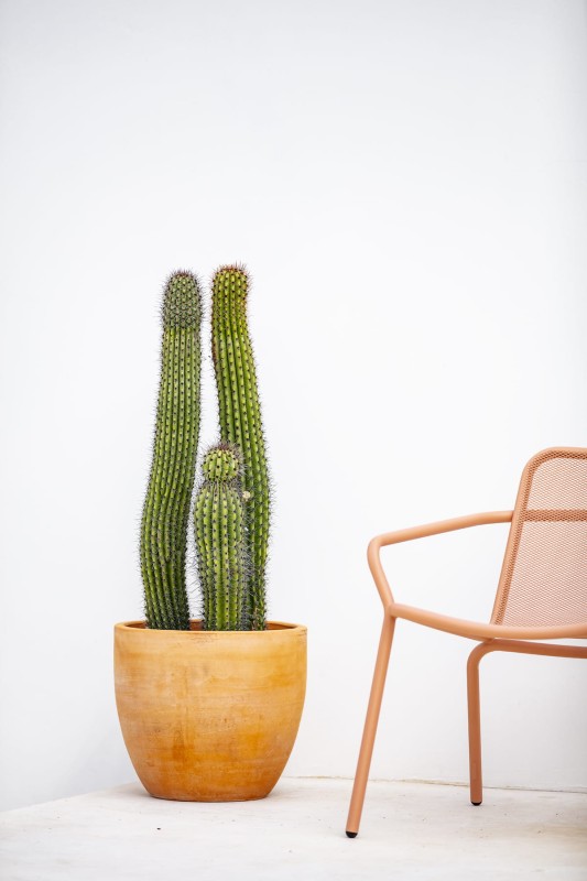 ogrodowe_krzesło_zpodłokietnikami_wypoczynowe_STARLING_todus