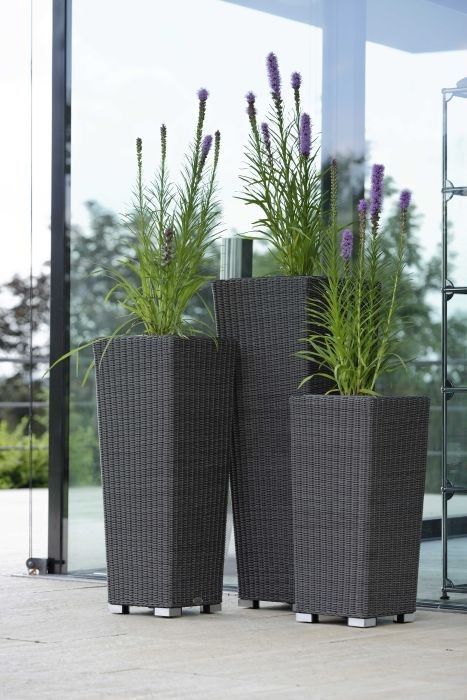 Doniczka_z_ekowikliny_stern