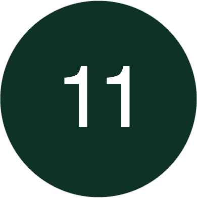 CLIPSkolor_Pine_green_11