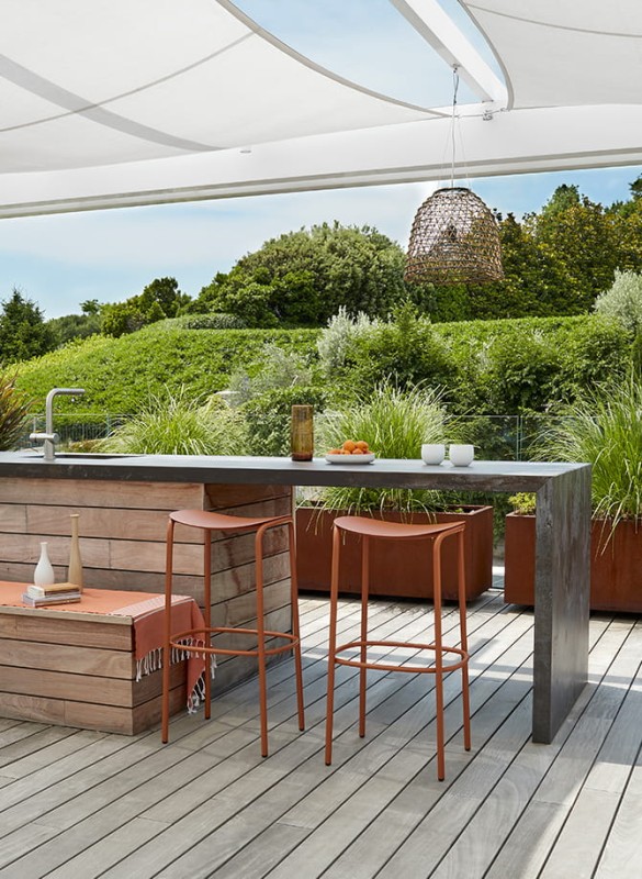 Hoker_ogrodowy_TRICK_scab