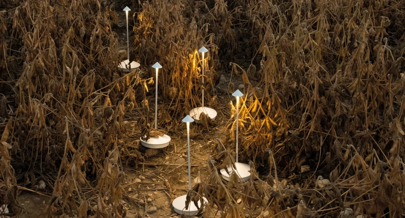 Lampka_ogrodowa_USB_PINA_zafferano