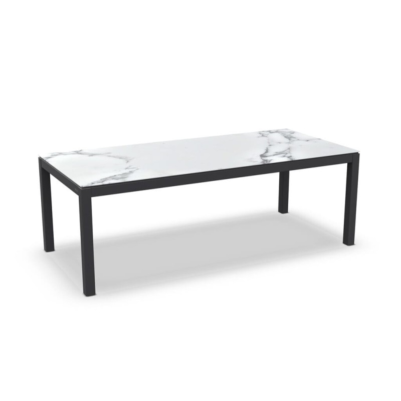 Stół_obiadowy_ogrodowy_DANLI_220X100 cm