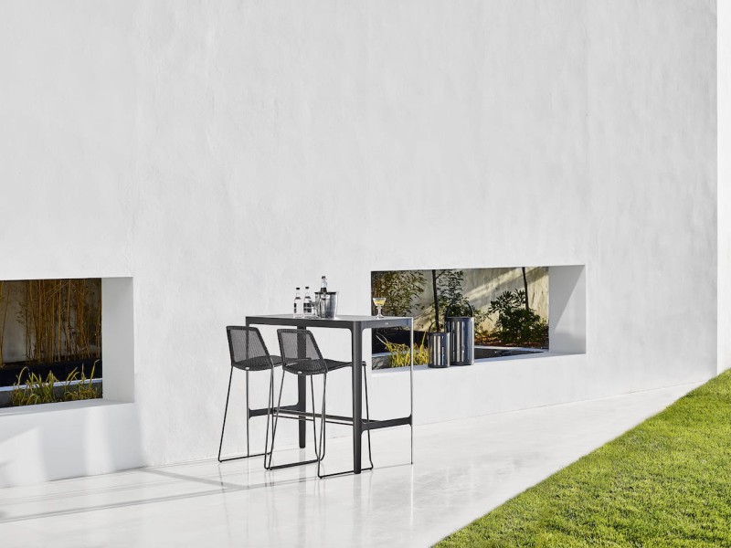 Hoker_barowy_BREEZE_caneline