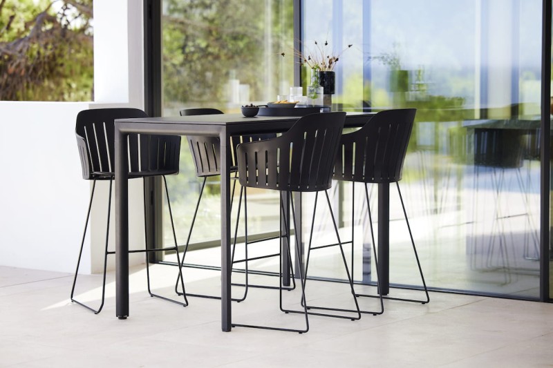 Hoker_barowy_na_płozach_CHOICE_caneline