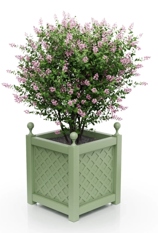 pale green.png