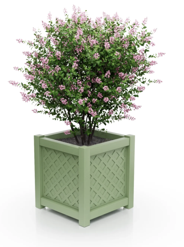 Pale green.png