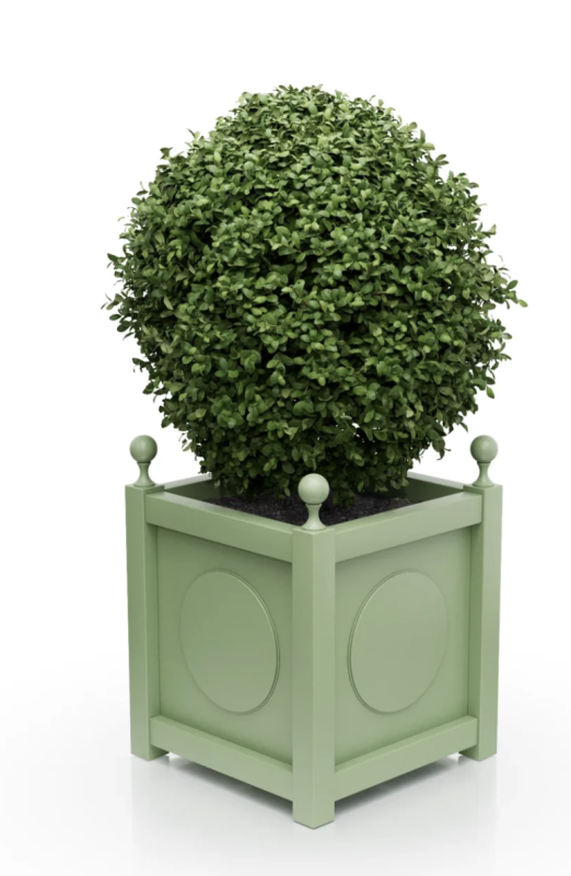 pale green.png