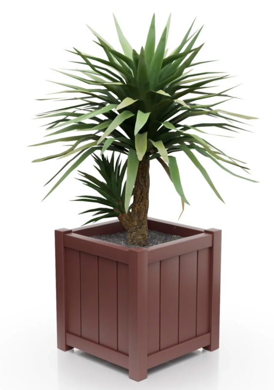rubby red.png