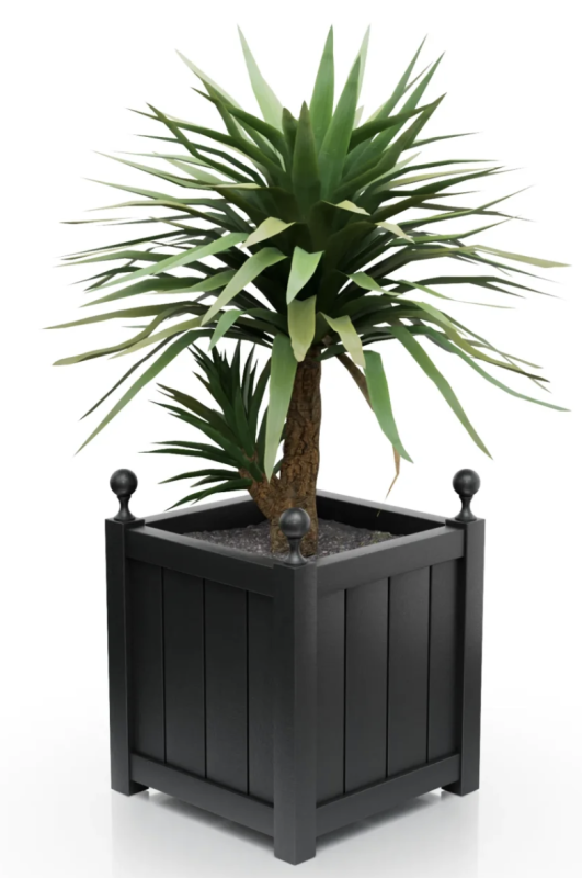 Jet black.png