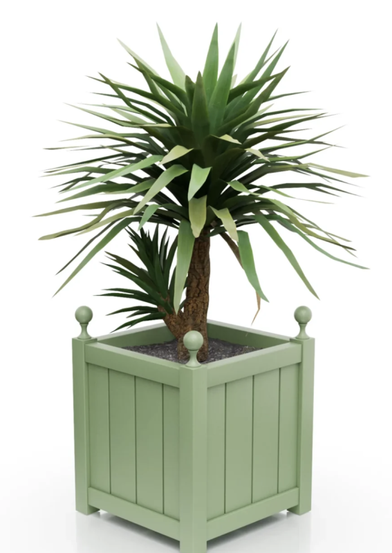 Pale green.png