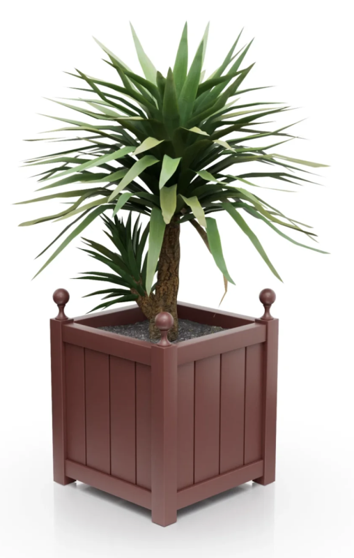 Rubby red.png